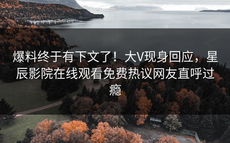 爆料终于有下文了！大V现身回应，星辰影院在线观看免费热议网友直呼过瘾