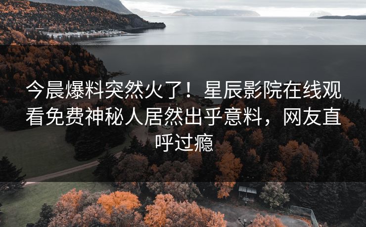 今晨爆料突然火了！星辰影院在线观看免费神秘人居然出乎意料，网友直呼过瘾