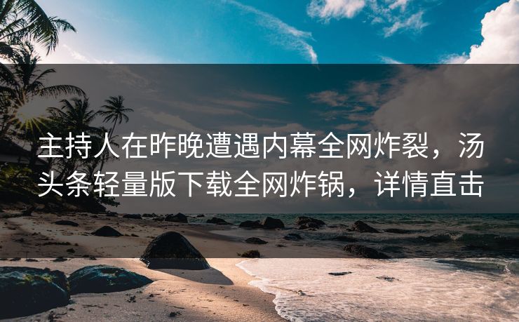 主持人在昨晚遭遇内幕全网炸裂，汤头条轻量版下载全网炸锅，详情直击